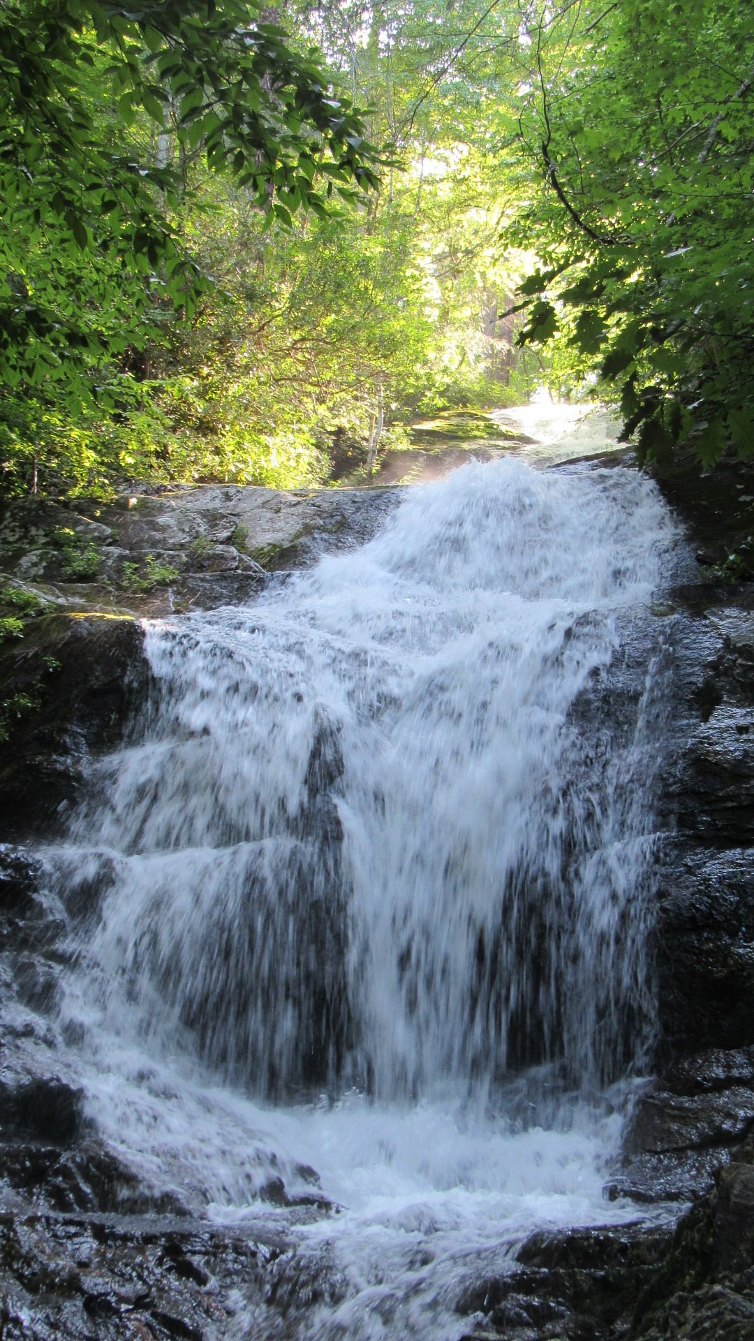 Walker Falls (Barnardsville) - All You Need to Know BEFORE You Go