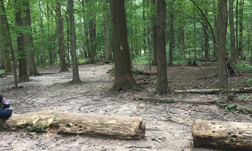 Millburn, NJ Tourismus in Millburn Tripadvisor
