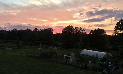 Glorious sunset at Kings Mill Cider