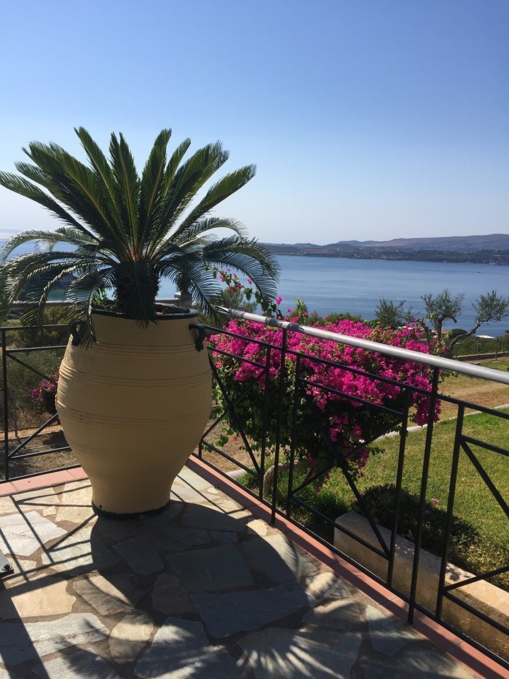 Olive Garden Apartments & Pool Bar Pool: Pictures & Reviews - Tripadvisor