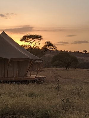 Aurari Camp  Luxury boutique hotel in Serengeti National Park