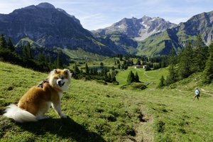Zimmer und Suite