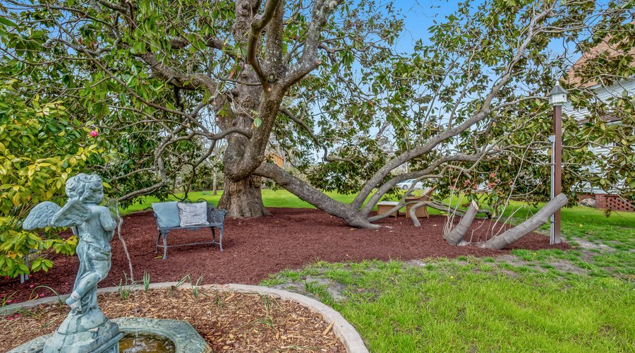  relax under the Magnolia Tree to the running water, from  the Angel Fountain
