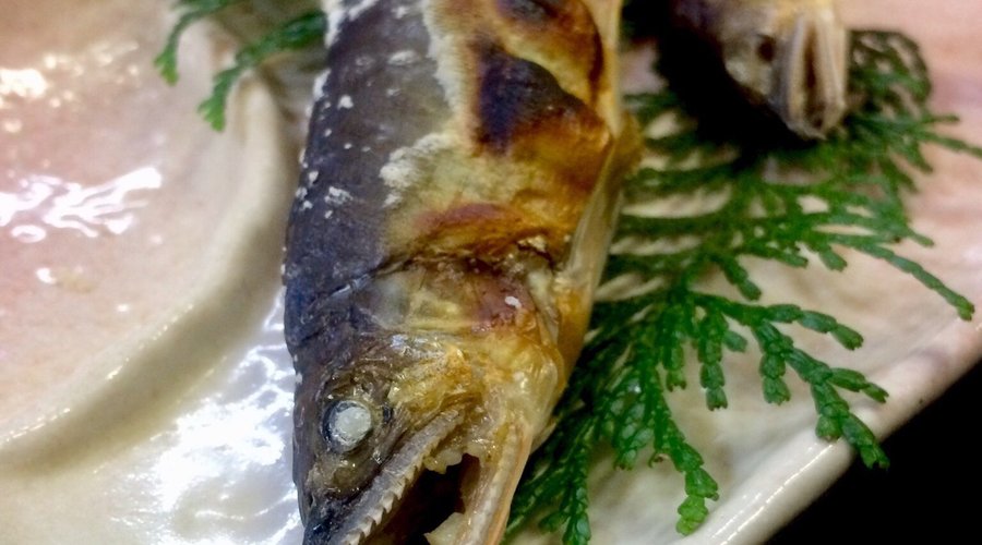 松阪食堂