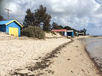 Rosebud Beach — Accessible Beaches Australia