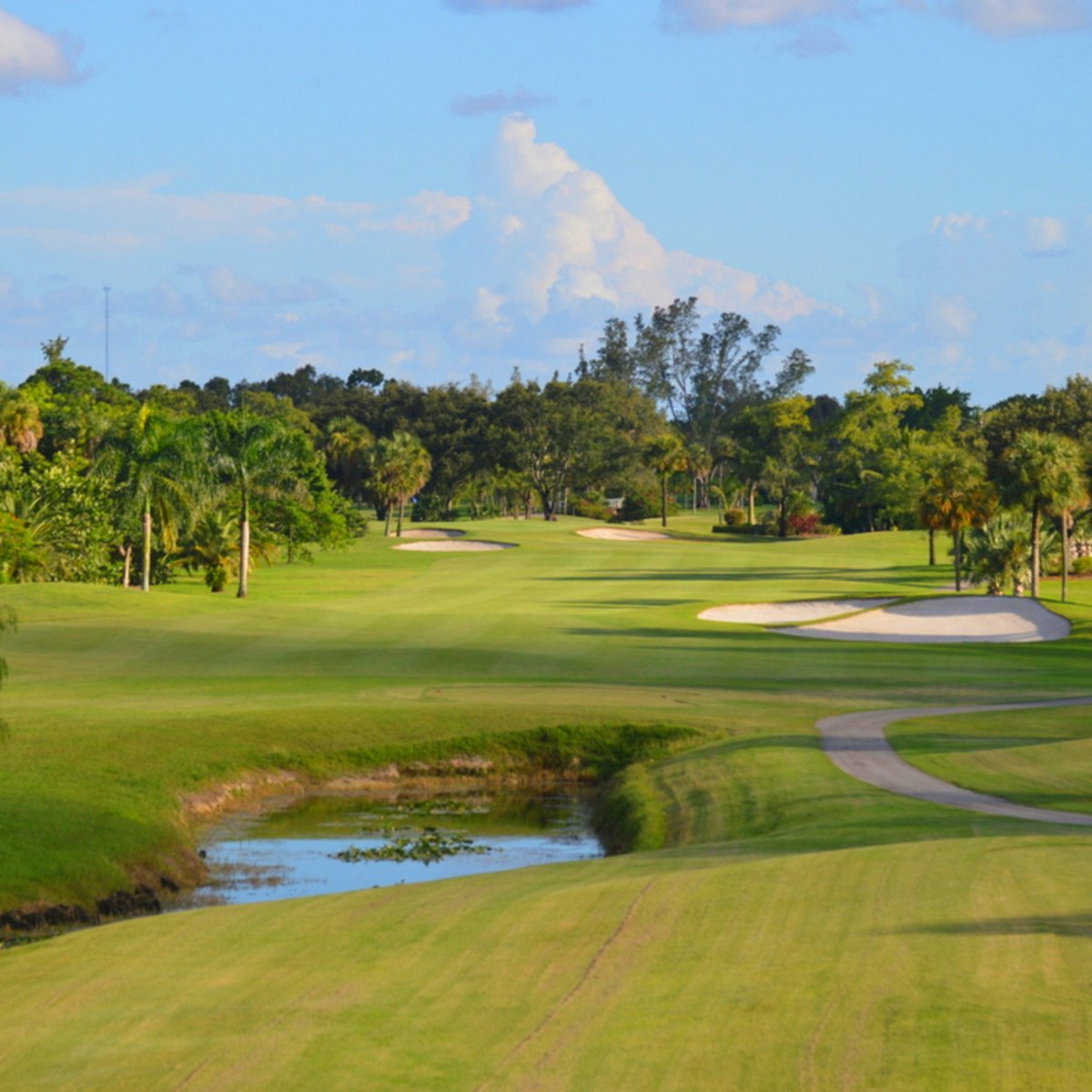 Village Golf Club (Royal Palm Beach) - All You Need to Know BEFORE You Go