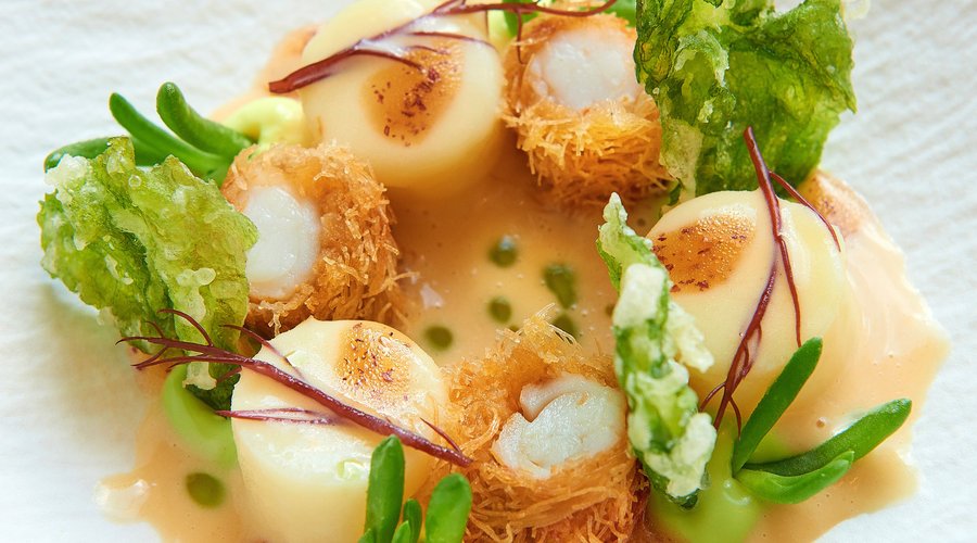 Langoustine / Aardappel / Zeewieren