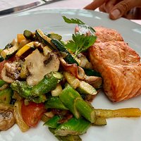 Salmon