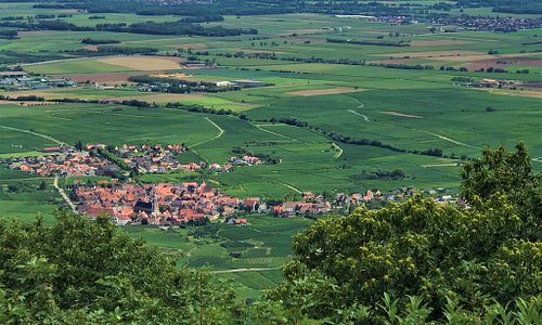 Alsace Route des Vins