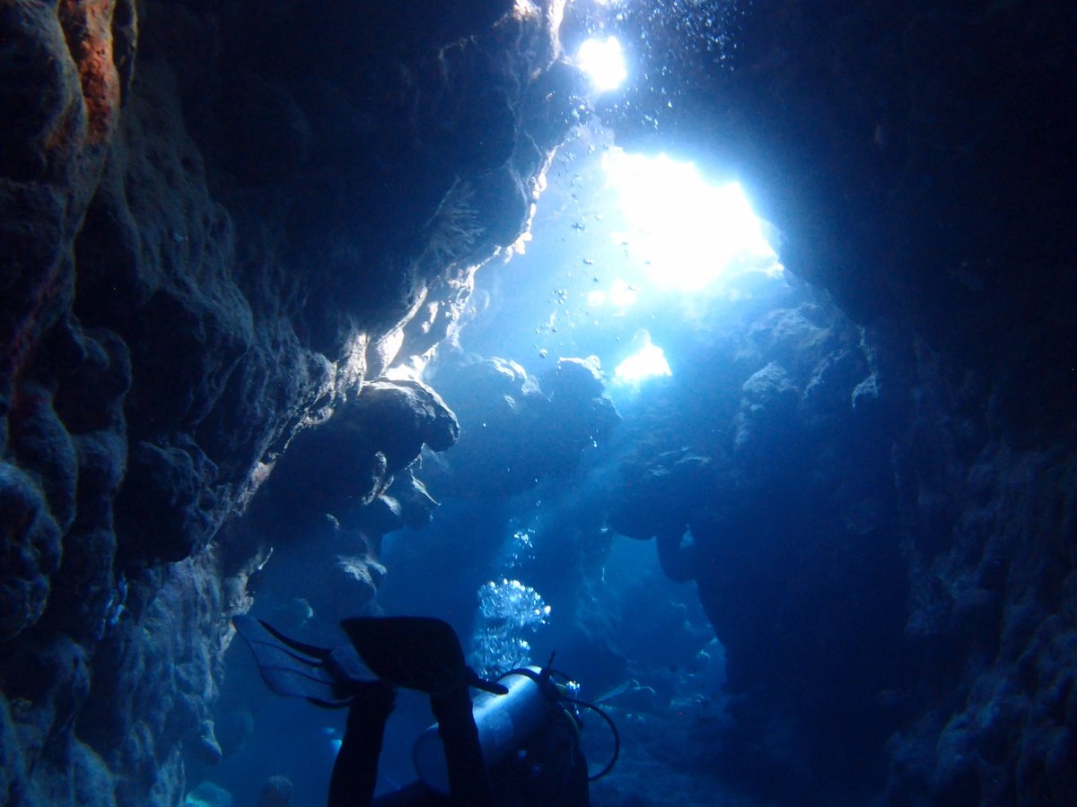 The Oasis Diving Center (Marsa Alam) All You Need to Know BEFORE You Go