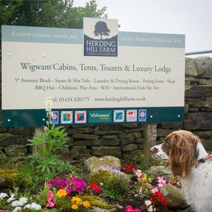 A warm welcome awaits you at Herding Hill Farm Touring, Camping & Glamping Site