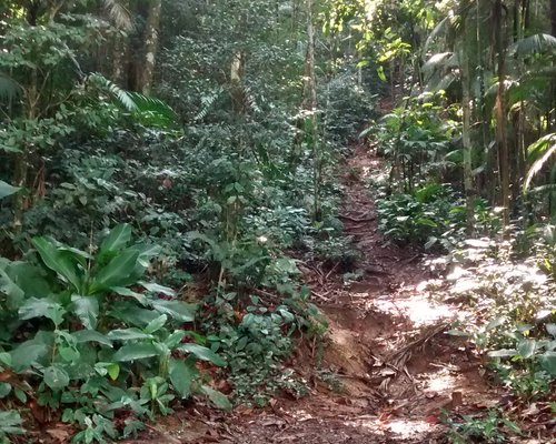 As melhores trilhas de Carro em Schroeder, Santa Catarina (Brasil