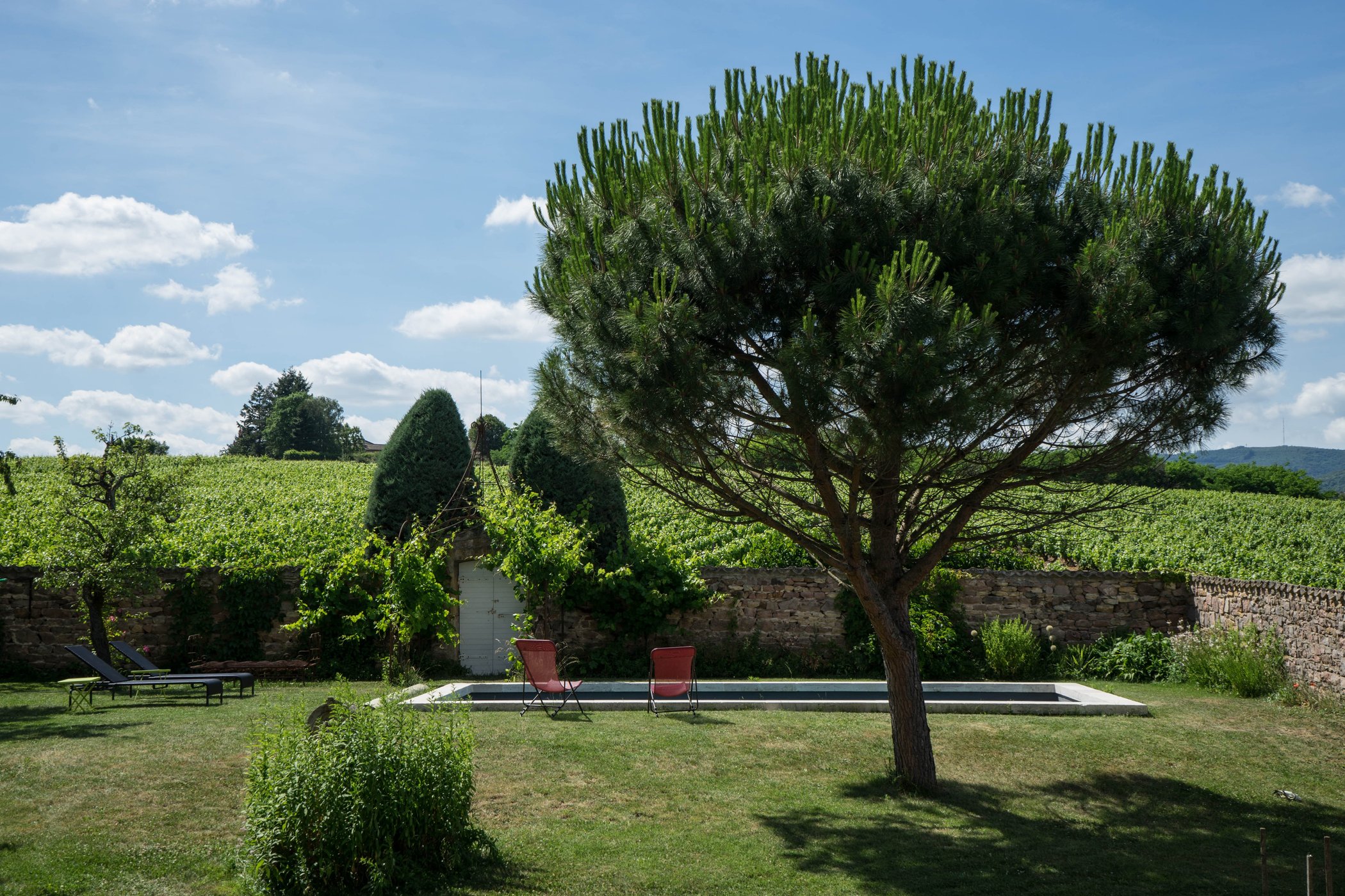 Le Paradis de Marie by null