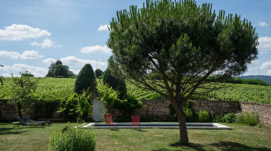 jardin avec piscine et vue sur les vignes