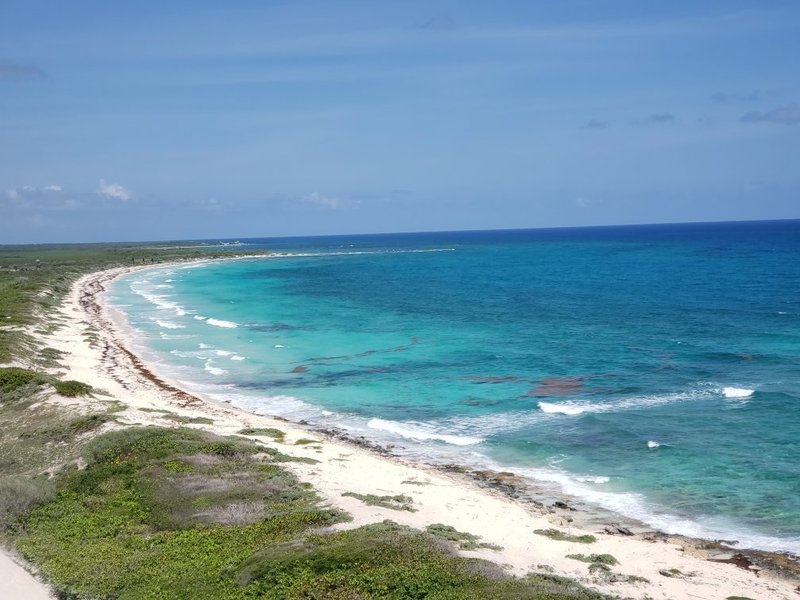 ANEMONA DE MAR BEACH, San Miguel de Cozumel - Menu, Prices & Restaurant  Reviews - Tripadvisor