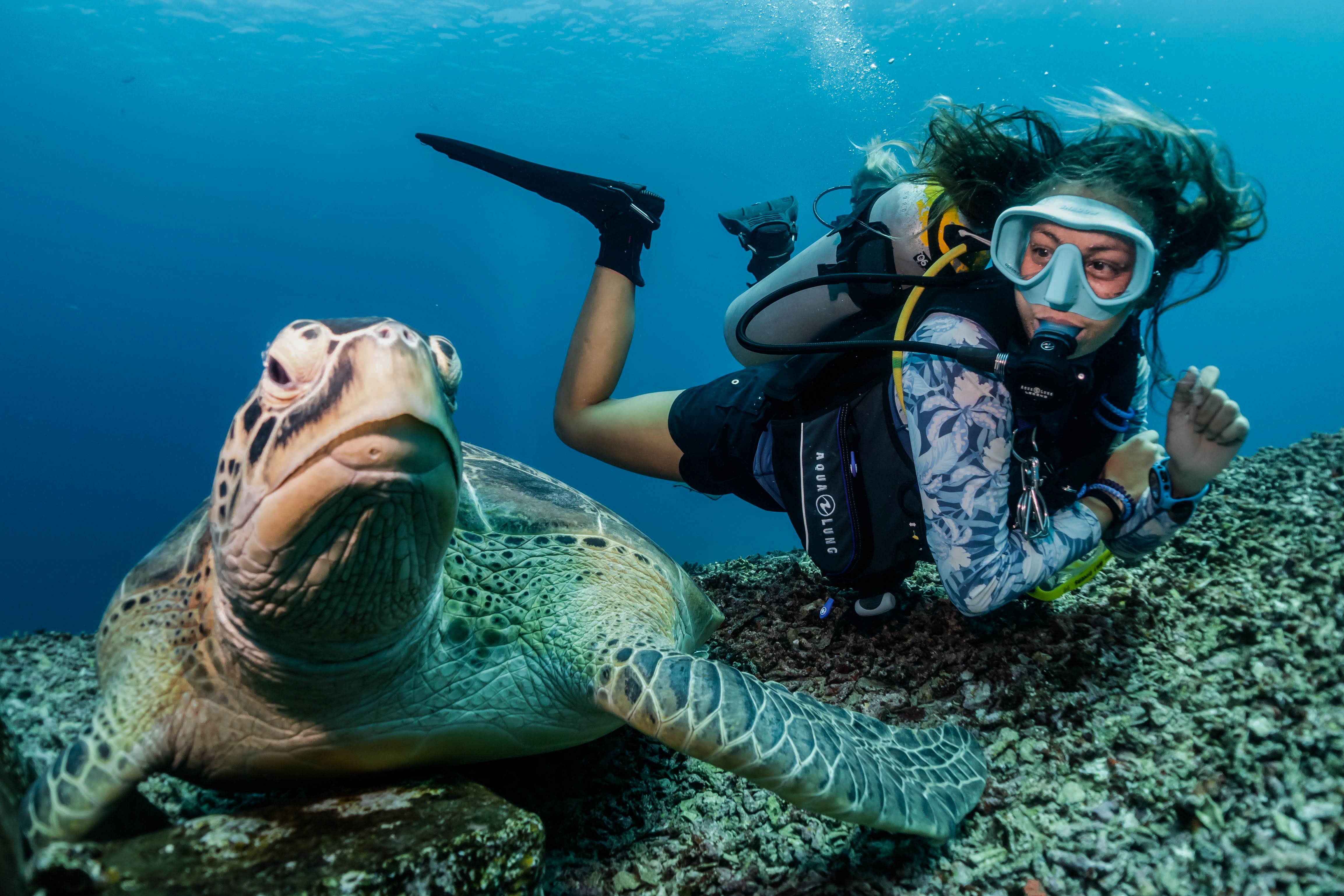 GILI DIVERS (Gili Trawangan) - 2022 Qué Saber Antes De Ir - Lo Más ...