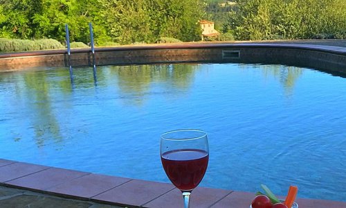 Buongiorno... 🍉🥐☕🏊‍♂️