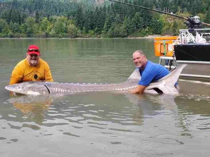 CASCADE FISHING ADVENTURES (Chilliwack) - 2022 What to Know BEFORE You Go