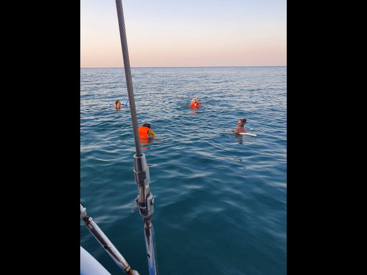 blue bird boat tours