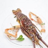 Aragosta e scampi