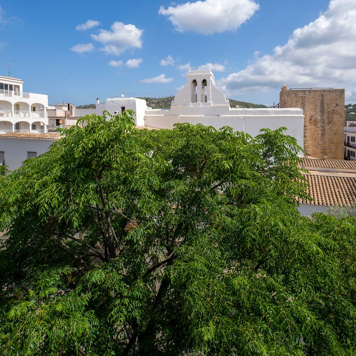 Apartamentos Tramuntana by null