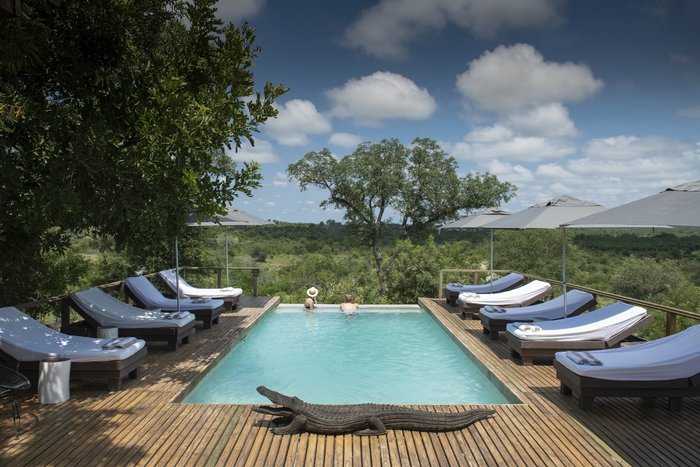 Simbavati Hilltop Lodge Pool Pictures & Reviews - Tripadvisor