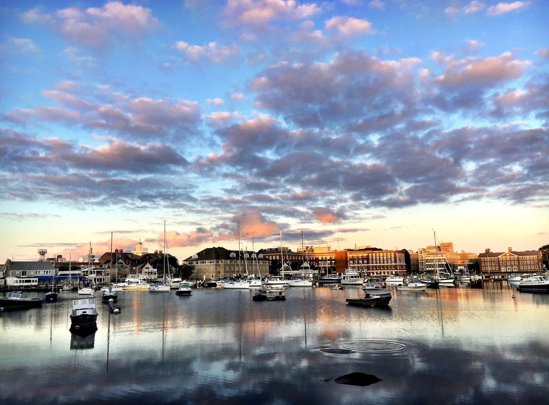Woods Hole Inn by null