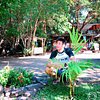 太智 望