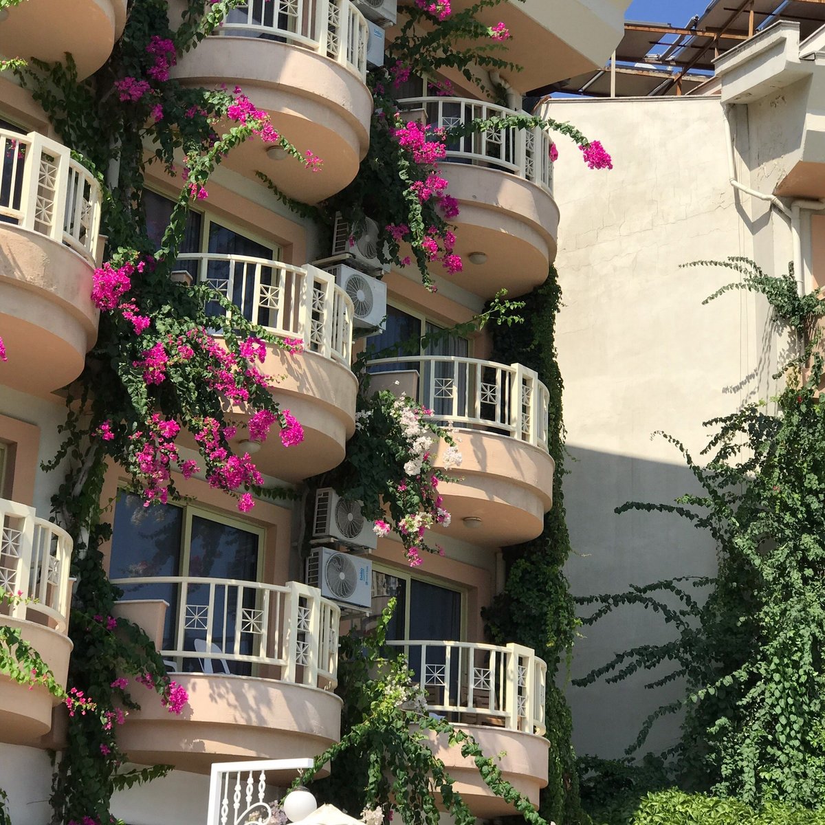 GRAND HOTEL FAROS (Мармарис) - отзывы, фото и сравнение цен - Tripadvisor