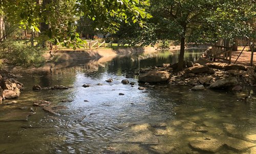 Un agradable paseo por el Parque Alces de Alcázar
