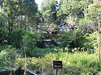 21年 森野旧薬園 行く前に 見どころをチェック トリップアドバイザー 21年 森野旧薬園 行く前に 見どころをチェック トリップアドバイザー
