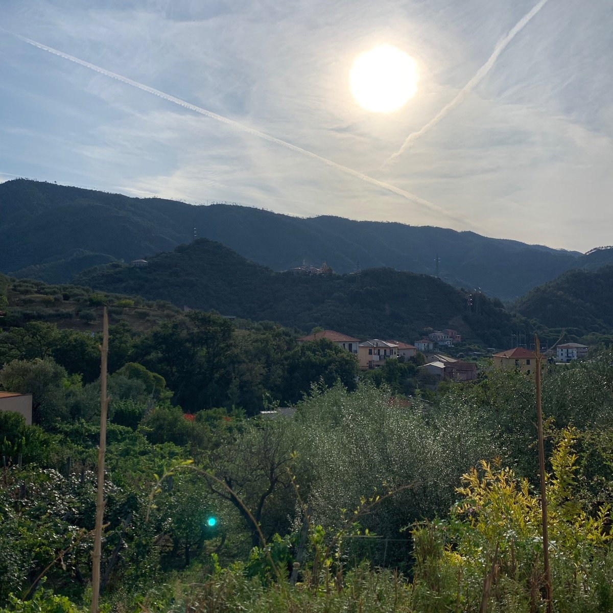 Agriturismo La Collina Verde Prices And Bandb Reviews Levanto Italy