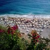 Galeb