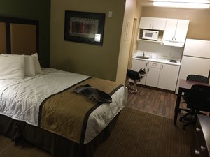 Kamar & Suite