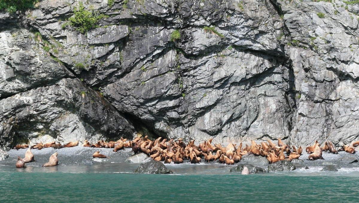 Escape To Paradise: Unveiling The Hidden Gem Of Jack Bay State Marine Park