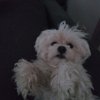 Stinders P