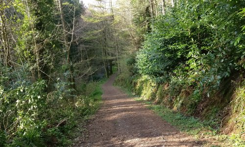 Muff Glen outside Eglinton, Co Derry is a beautiful place to go for walks