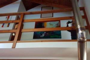 Room & Suite