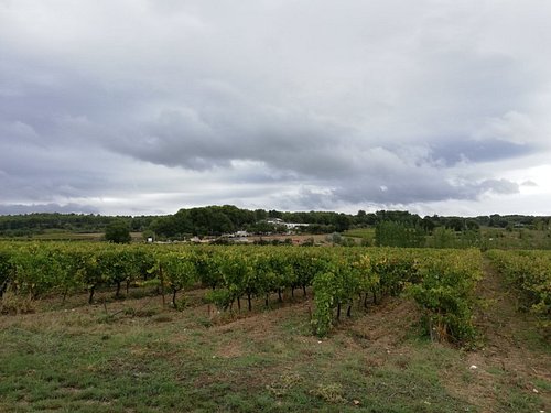 vineyard tours aix en provence