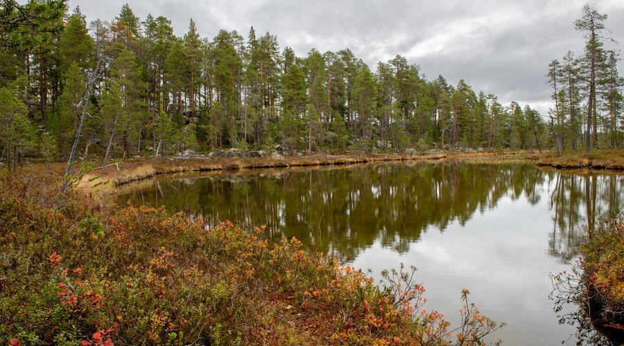 Lampinäkymä polun varressa