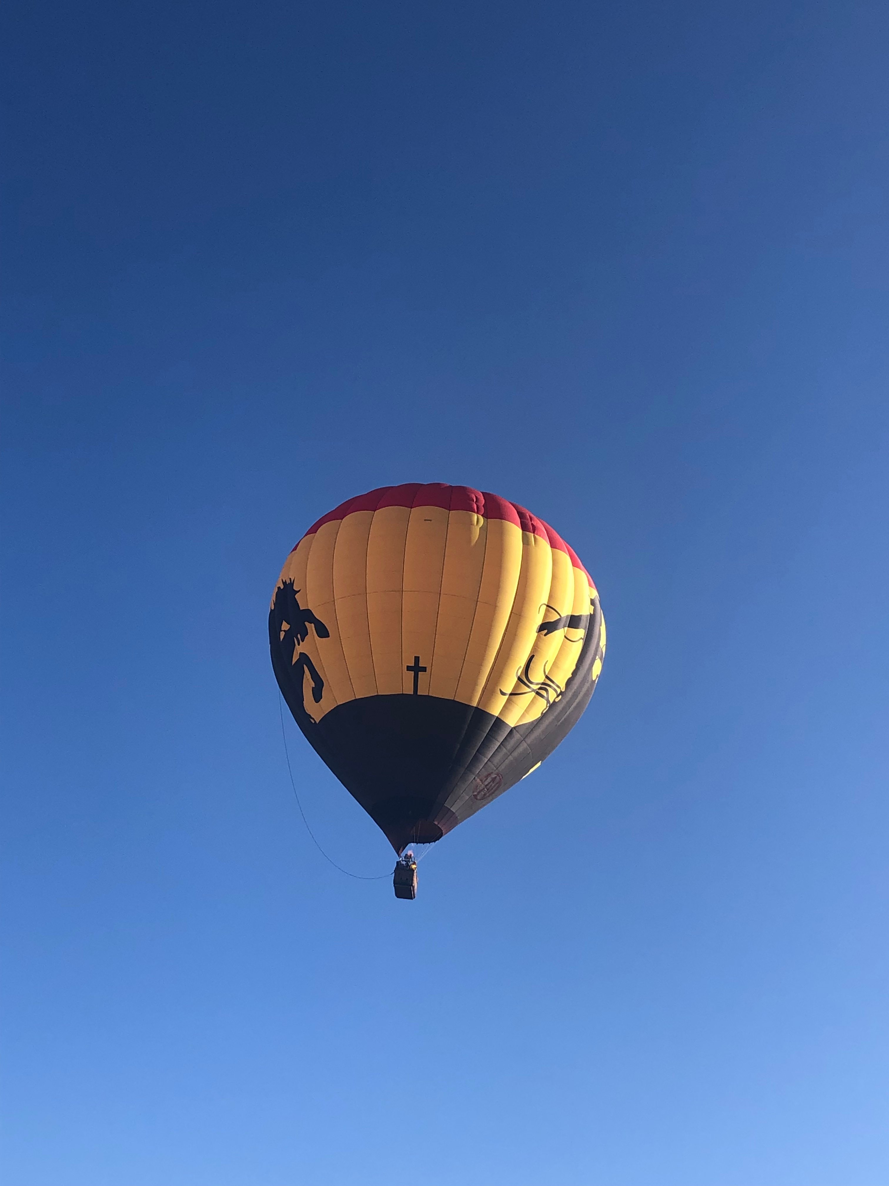 2024 Colorado Springs Colorado Springs Hot Air Balloon Flight   Colorado Springs Hot 