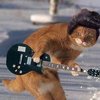 edipblues
