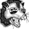 Doctor_Possum