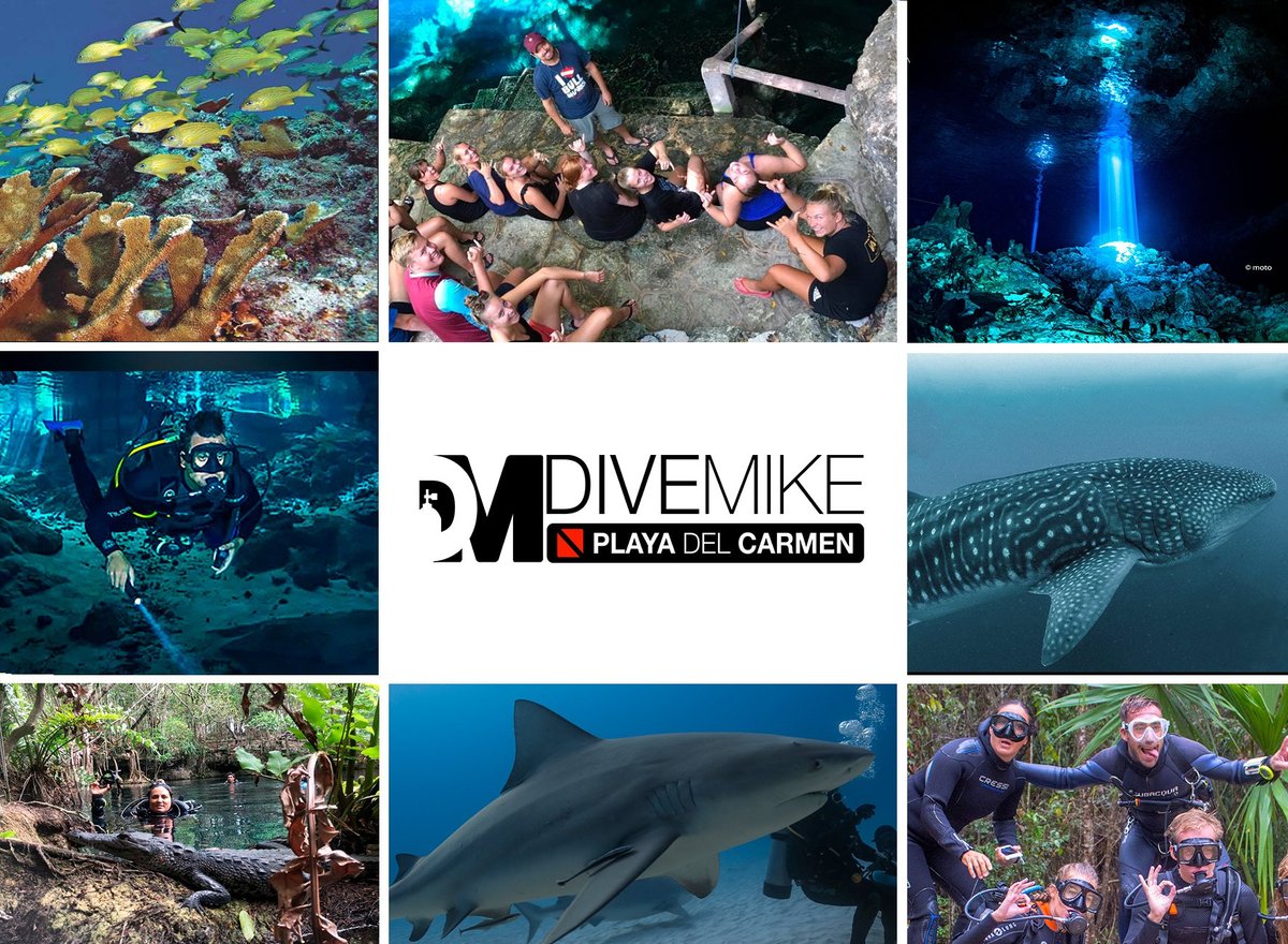 dive mike playa del carmen