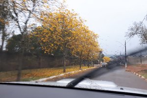 Viajante