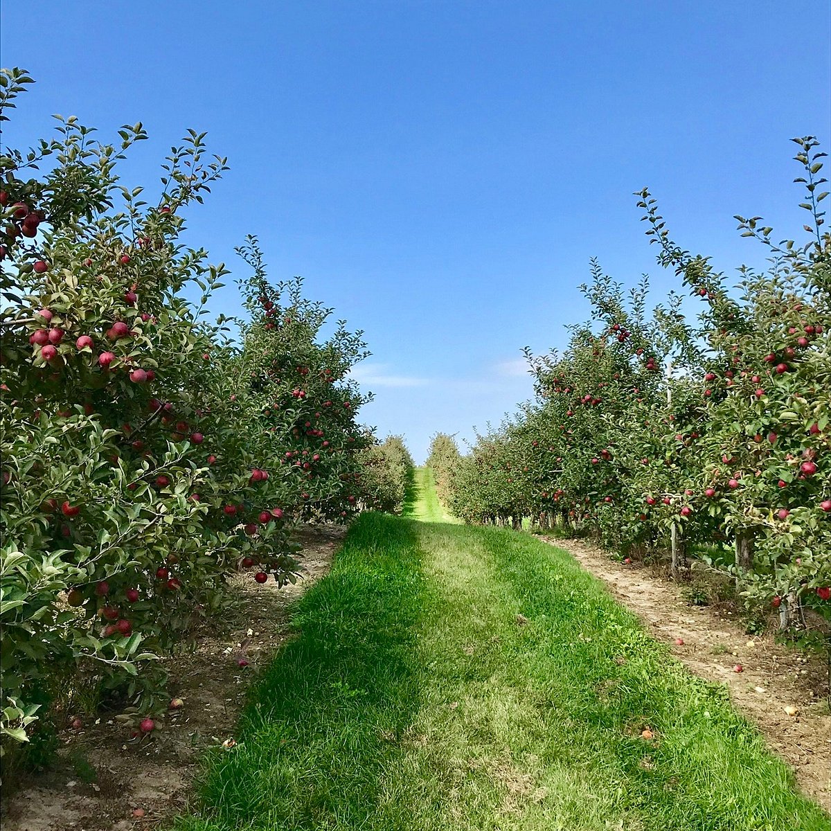 Nature's Bounty (Port Perry) - All You Need to Know BEFORE You Go