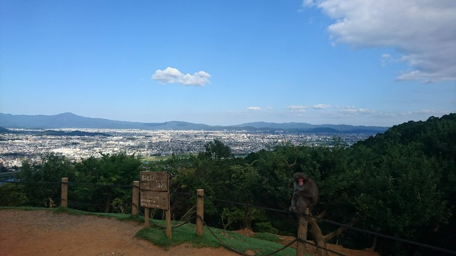 View over Kyoto from the Monkey Park