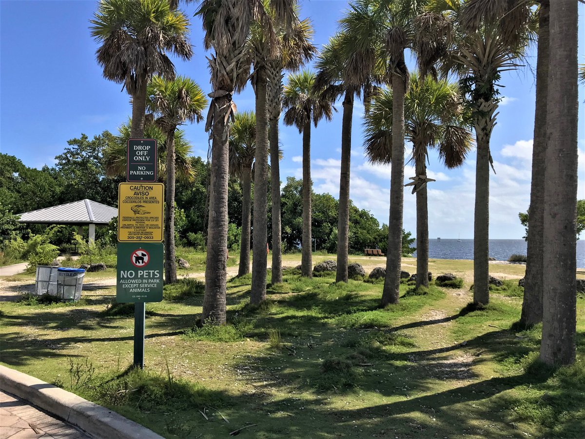 Deering Point, Palmetto Bay: лучшие советы перед посещением - Tripadvisor