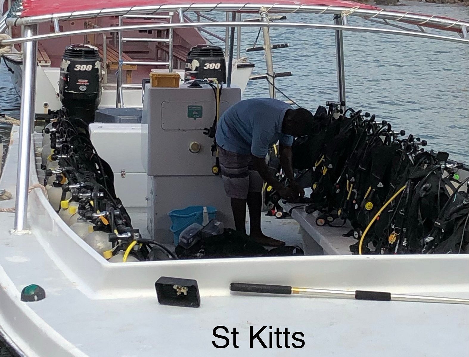 Dive St Kitts Basseterre All You Need To Know Before You Go