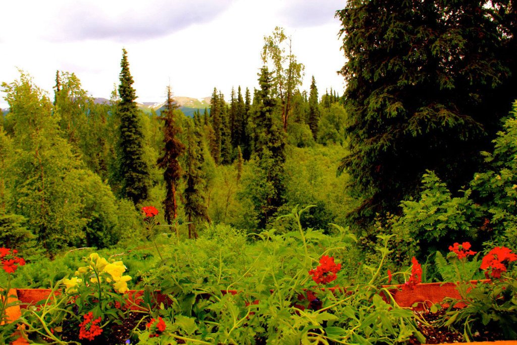 TALAHEIM LODGE - Bewertungen & Fotos (Anchorage, Alaska) - Tripadvisor